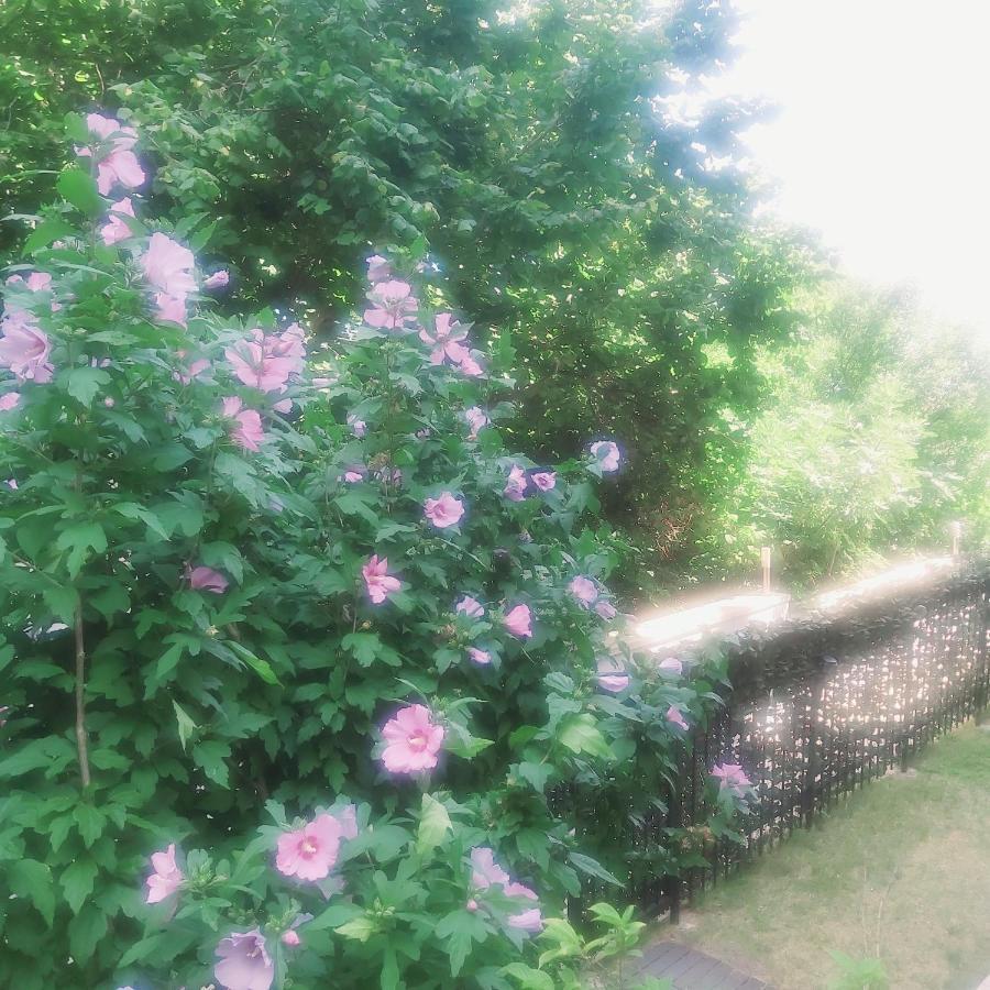 Saint Nicholas Varna Lovely 2 Bedroom Apartment With Sunny Garden Extérieur photo